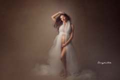 Ines3